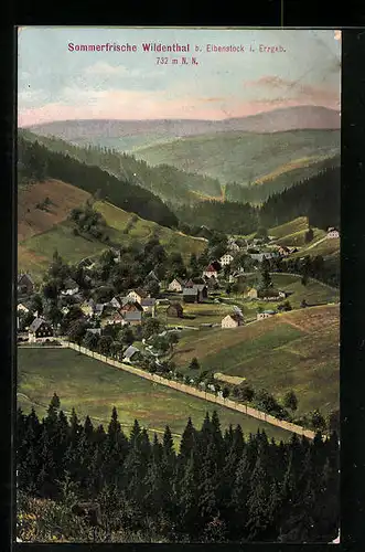 AK Wildenthal /Erzgeb., Ortsansicht aus der Vogelschau