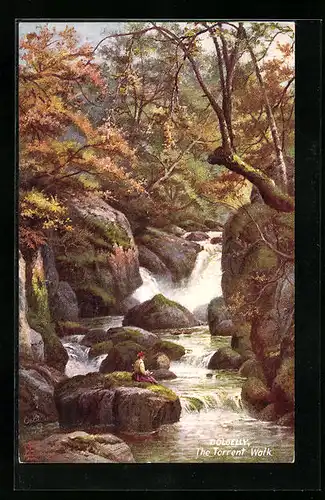Künstler-AK Raphael Tuck & Sons Nr. 7095: Dolgelly, The Torrent Walk