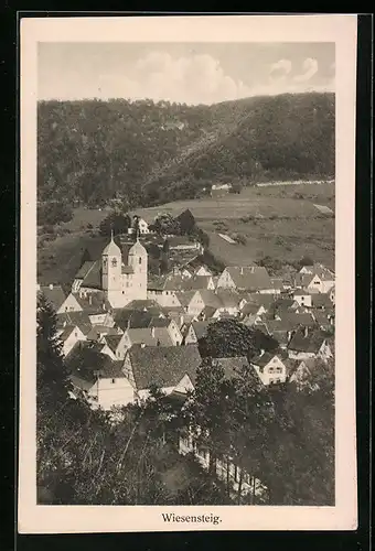 AK Wiesensteig, Ortsansicht mit Umland