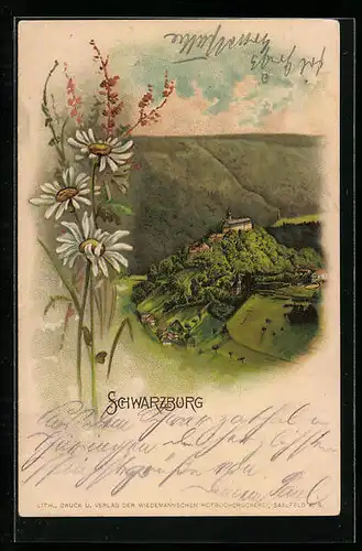 Lithographie Schwarzburg, Ortsansicht aus der Vogelschau, Blumenmotiv