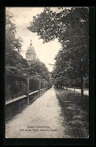 AK Berlin-Lichterfelde, Allee an der Haupt-Kadetten-Anstalt