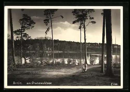 AK Berlin, Partie am Grunewaldsee