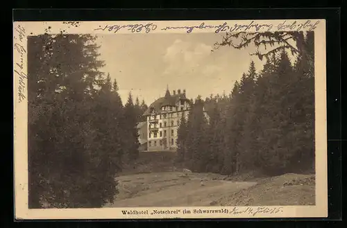 AK Notschrei /Schwarz., Blick auf Waldhotel