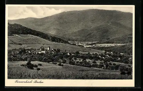 AK Tannenkirch /Baden, Ortsansicht mit Umland
