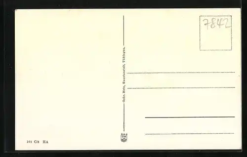 AK Tannenkirch /Baden, Ortsansicht mit Umland