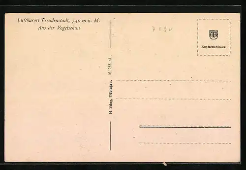 AK Freudenstadt, Ortsansicht aus der Vogelschau