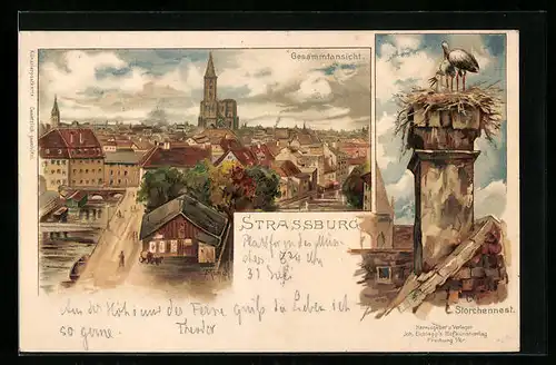 Künstler-AK Carl Münch: Strassburg, Gesamtansicht, Storchennest