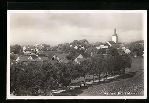 AK Waidhaus /Bayr. Ostmark, Ortsansicht aus der Vogelschau