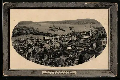Präge-AK Istanbul, Vue Panoramique du Port et du Bosphere