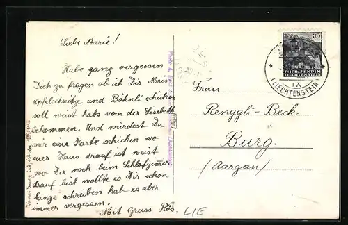 AK Vaduz, Ortsansicht mit Umland