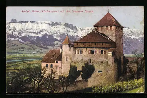 AK Vaduz, Schloss Vaduz mit den Schweizer Bergen