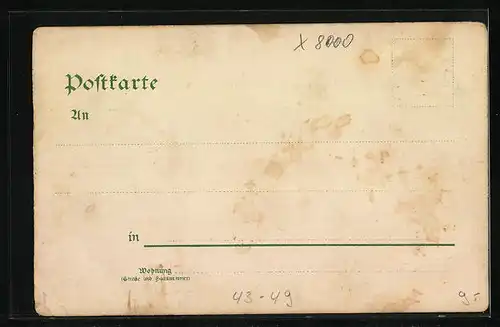 Lithographie Hurra! Hoch die Vogelwiese, Nee, in das Caroussel leg' ich mich nicht!