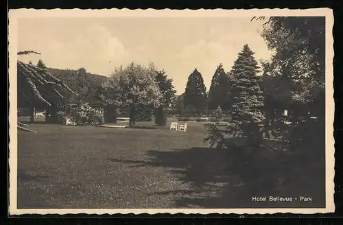 AK Baden-Baden, Hotel Bellevue, Lichtenthaler Allee