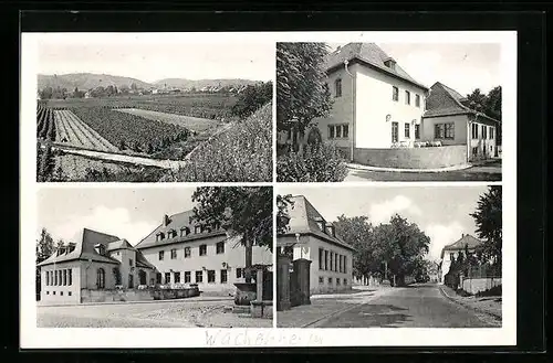 AK Wachenheim / Weinstrasse, Gebäudeansichten, Landschaftsbild