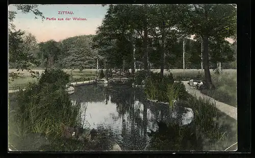AK Zittau, Partie aus der Weinau