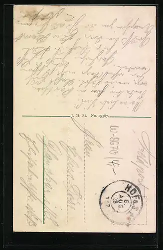 AK Hof a. Saale, Totale mit Kirche