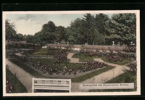 AK Bretten, Rosengarten des Rosenvereins
