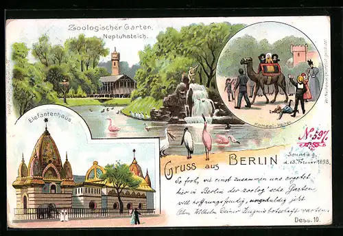 Lithographie Berlin-Charlottenburg, Zoologischer Garten, Neptunsteich, Elefantenhaus, Kameel-Reiten