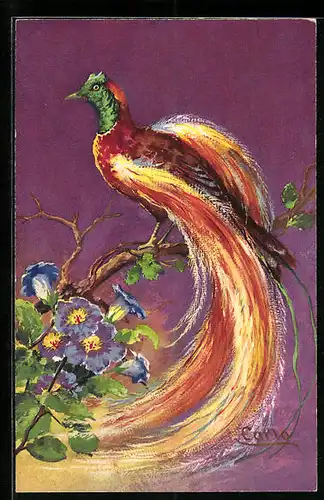 Künstler-AK Carlo Chiostri: Paradiesvogel mit Blumen