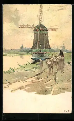 Künstler-AK Henri Cassiers: Edam, Windmühle, Schäfer mit Schafen