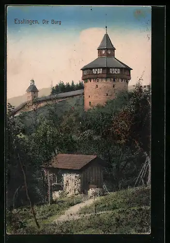 AK Esslingen, Die Burg im Sommer