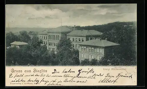 AK Berlin-Steglitz, an der königlichen Blindenanstalt