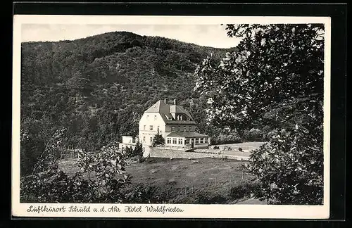 AK Schuld a. d. Ahr, am Hotel Waldfrieden