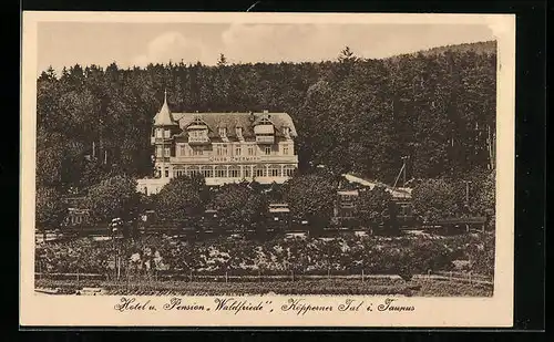 AK Saalburg im Taunus, Hotel und Pension Waldfriede im Köppener Tal