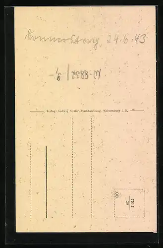 AK Weissenburg i. B., vor dem Ellingertor