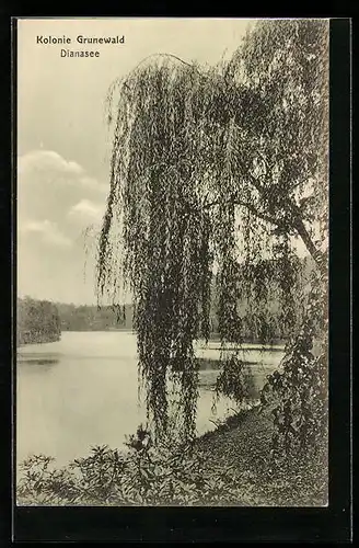 AK Berlin-Grunewald, am Ufer in der Kolonie am Dianasee