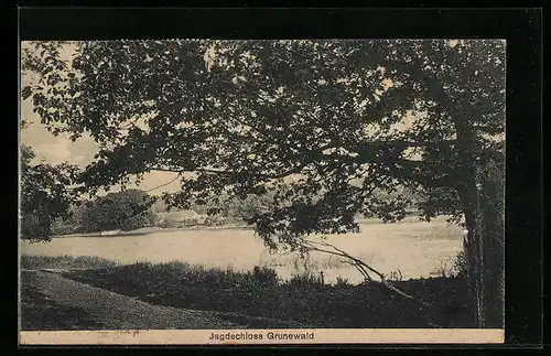 AK Berlin-Grunewald, Uferpartie mit Blick zum Jagdschloss