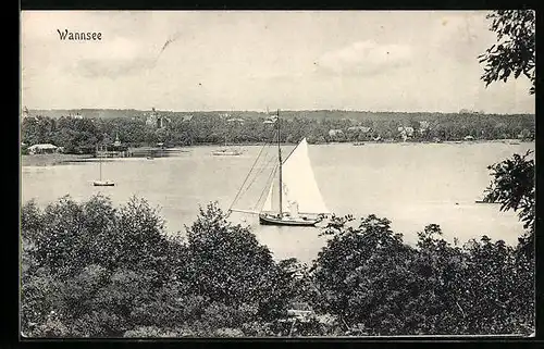 AK Berlin-Wannsee, Blick auf ein Segelboot auf dem See, Ortspanorama