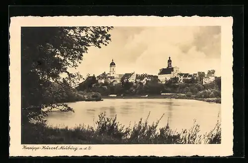 AK Neuburg a. D., Panoramaansicht des Kneipp-Kurort vom Ufer aus