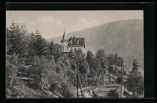 AK Zschopau i. Sa., Blick auf die Sommerfrische Wilischthal