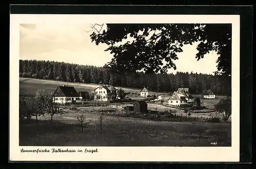 AK Falkenhain im Erzgeb., Blick auf die kleine Siedlung