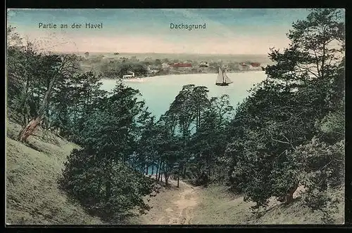 AK Berlin-Grunewald, Moorlake, Partie an der Havel mit Blick zum Dachsgrund