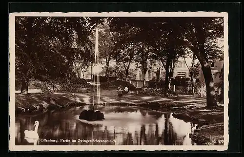 AK Offenburg, Partie im Zwinger-Schwanenteich