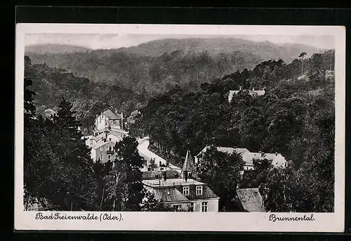 AK Bad Freienwalde a. Oder, Blick auf die Villen im Brunnental