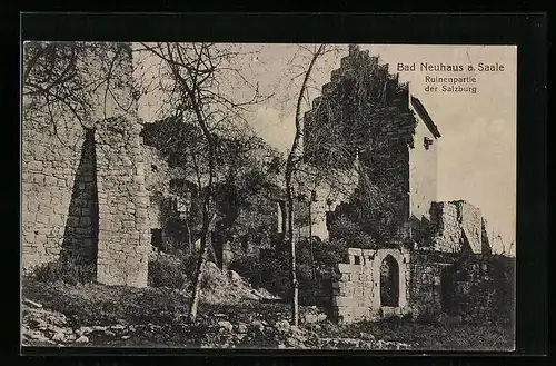 AK Bad Neuhaus a. Saale, Ruinenpartie der Salzburg