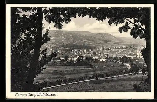 AK Hammelburg i. Mainfranken, Generalansicht der Stadt vom Waldrand aus