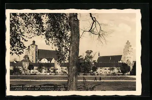 AK Ingolstadt in Obb., Alte Stadtmauer, Partie mit Blick auf Taschenturm und Dom