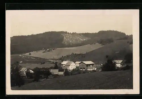 AK Mühltal b. Falkenstein, Ortsansicht aus der Vogelschau
