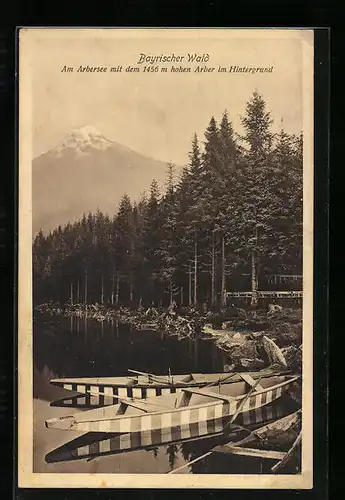 AK Arbersee, Arberseepartie mit Arber