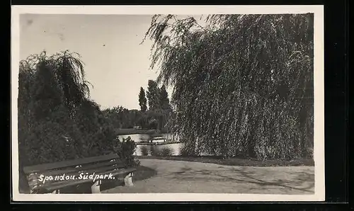 Foto-AK Berlin-Spandau, Teichpartie im Südpark