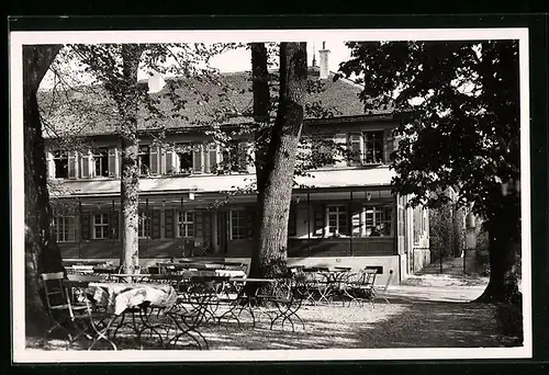 AK Bad Boll /Württ., Cafe und Gnadenbau mit Garten