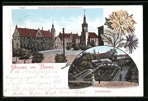 AK Riesa, Rathaus mit Aichamt und Klosterkirche, Parkfreitreppe