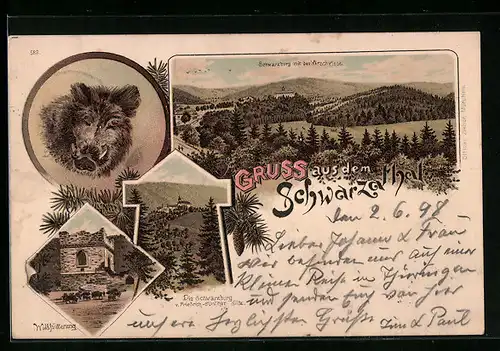 Lithographie Schwarzburg, Hirschwiese, Schwarzburg, Wildfütterung, Wildschwein