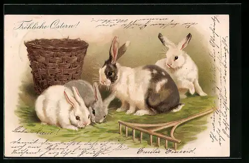 AK Osterhasen essen Gras