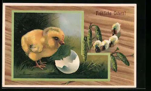 AK Osterküken mit einer Eierschale