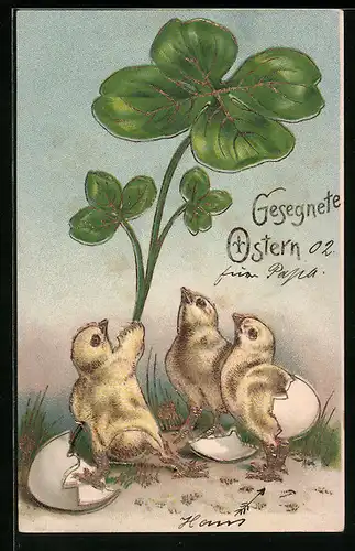 Lithographie Osterküken halten ein übergrosses Kleeblatt, Fröhliche Ostern